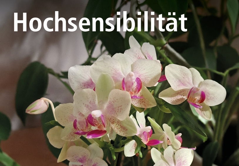 Hochsensibilität